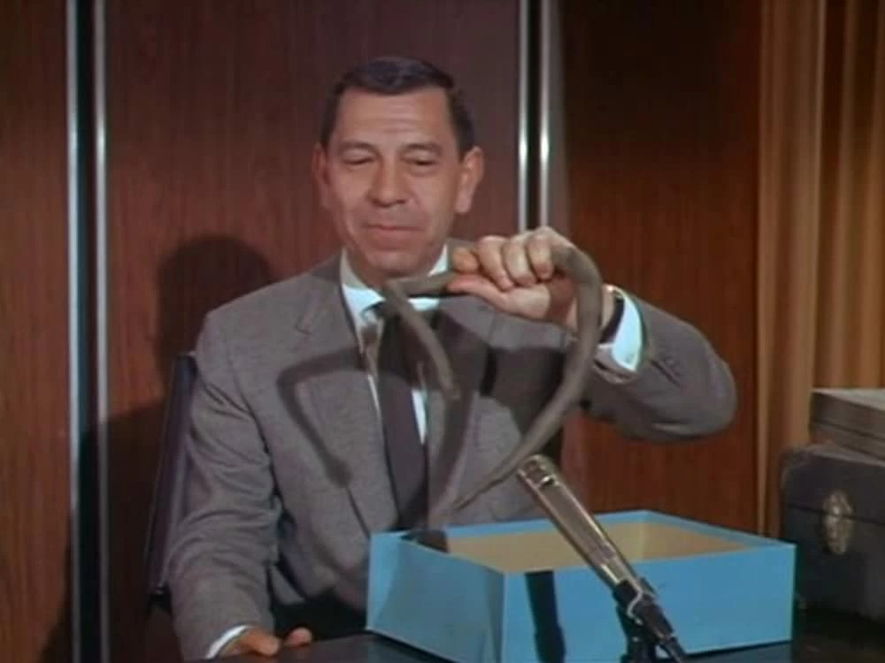 In the "Dragnet" episode, "The Subscription Racket," Sgt. Joe Friday demonstrates to a TV audience (fictional and the real TV audience) how some scammers will charge to remove "dangerous" fake snakes from a homeowner's yard.