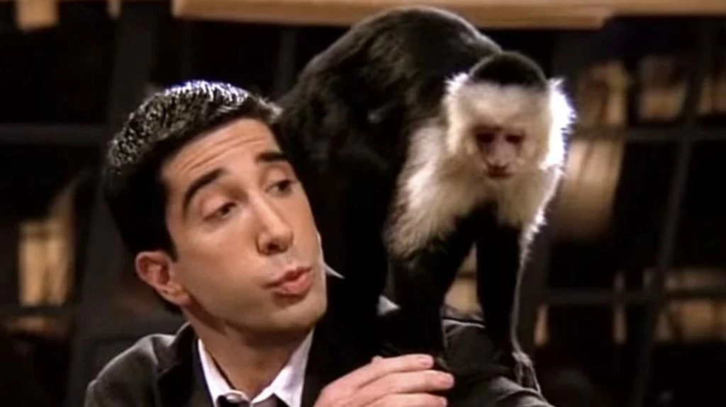 Ross Geller had a monkey as a pet on the TV series "Friends" -- despite knowing that it was against the law.