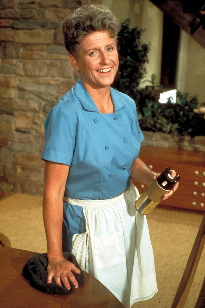 Ann B. Davis played TV's most famous and recognizable maid.