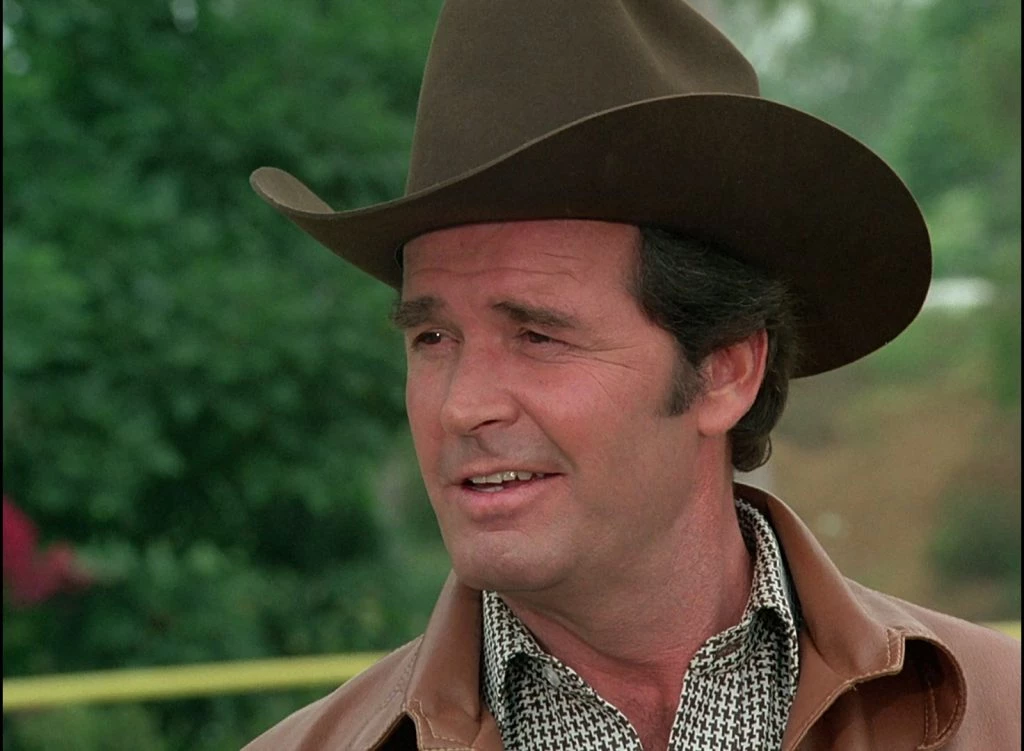 "The Rockford Files" was a detective series, but also practically a banking series. The plots often dealt with financial issues.