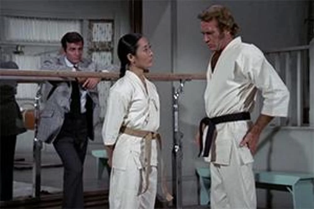 In all or most of the "Mannix" episodes, Joe Mannix was getting into big brawls with the bad guys. "A Ticket to the Eclipse" was no exception.
