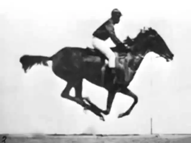 In 1878, Eadweard Muybridge, and that really was how he spelled his name, proved with a photograph that horses hooves all leave the ground when running.