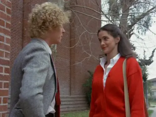 Connie Sellecca played the love interest and shrewd, capable attorney in the 1980s TV series, "The Greatest American Hero."