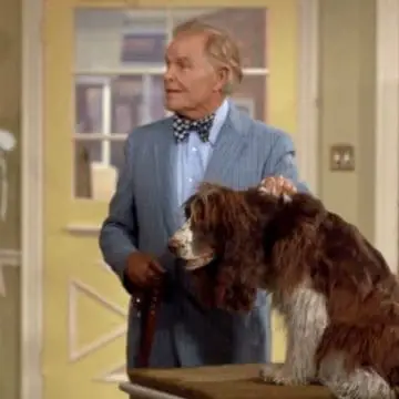 Bob Williams, largely forgotten today, was once known as both a comedian and maybe America's most famous dog trainer.