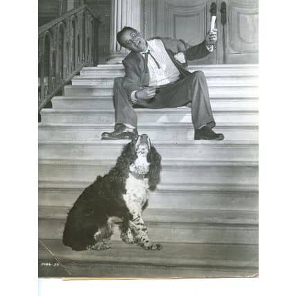 Bob Williams and his trusty sidekick Red Dust (and later, Louie) had a dog act that delighted audiences from the 1930s right up to about 1980.