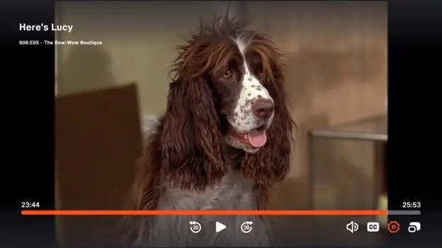 Louie, a dog trained to not do tricks, became of the world's most famous dogs during the 1960s and 1970s, other than, of course, Lassie, Benji and Rin Tin Tin. Here's Louie in a scene on the TV show, "Here's Lucy."